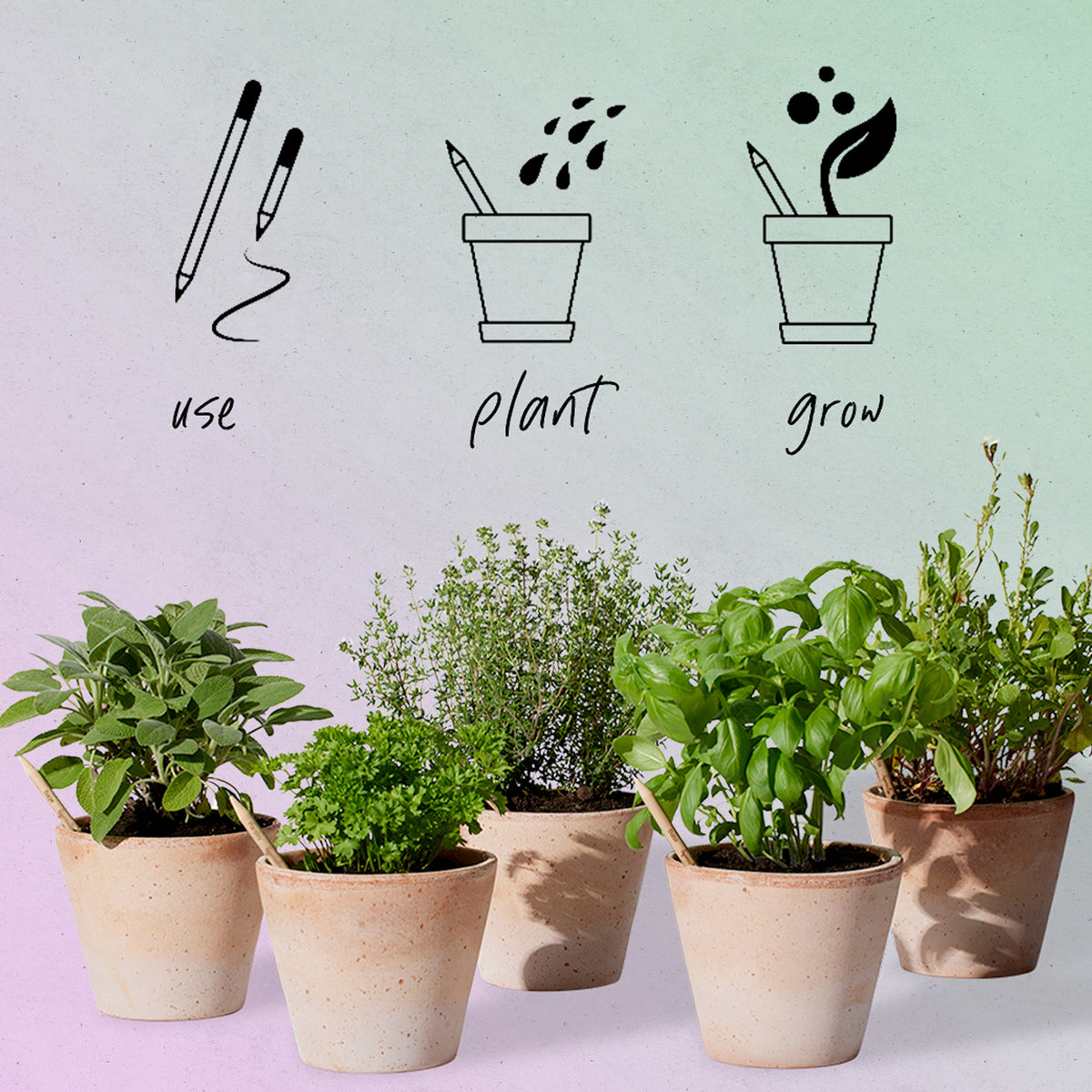 Pack 9 Lápis plantáveis